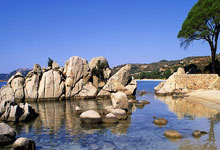 转会期巴黎圣日耳曼备战欧冠，伤情更新细节曝光，压力陡增，高层口径保持一致的简单介绍