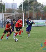 包含棒球夜战：蓬莱飞鹰队大胜岭南犀牛队，临门一脚致胜定海神针仍在的词条