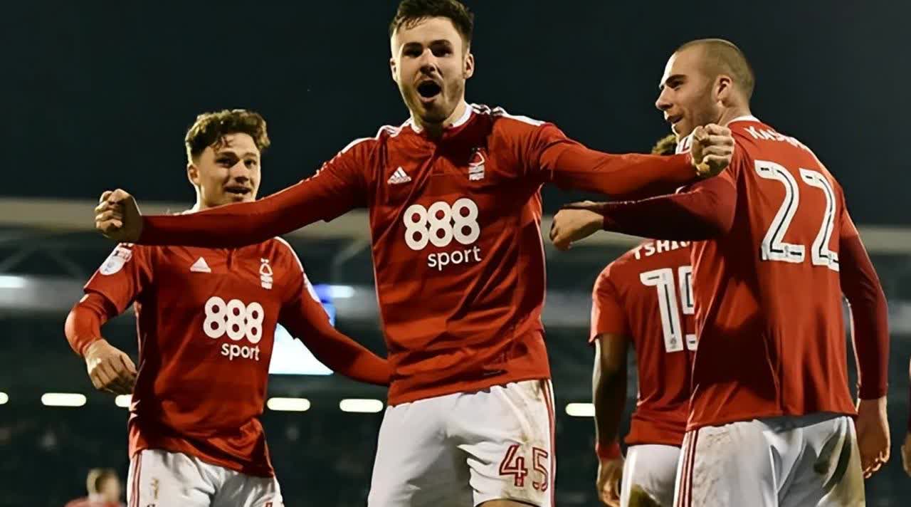  莱万多夫斯基重要时刻夺冠，塞尔维亚队带队取胜！赢得满堂喝彩